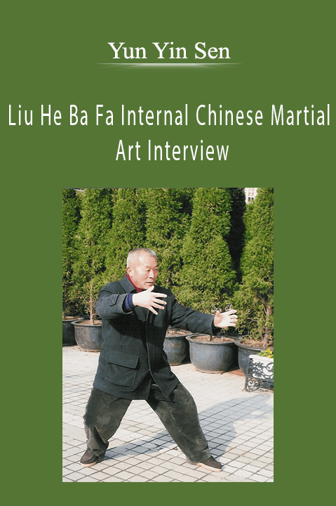 Yun Yin Sen - Liu He Ba Fa Internal Chinese Martial Art Interview
