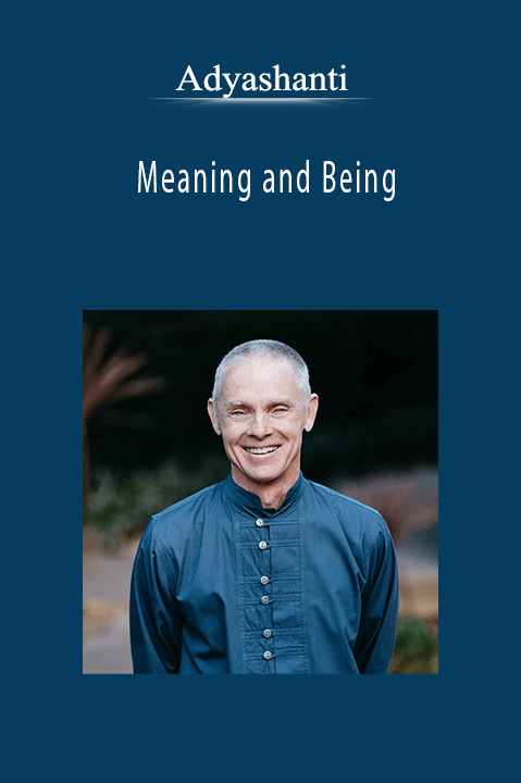 Adyashanti - Meaning and Being.