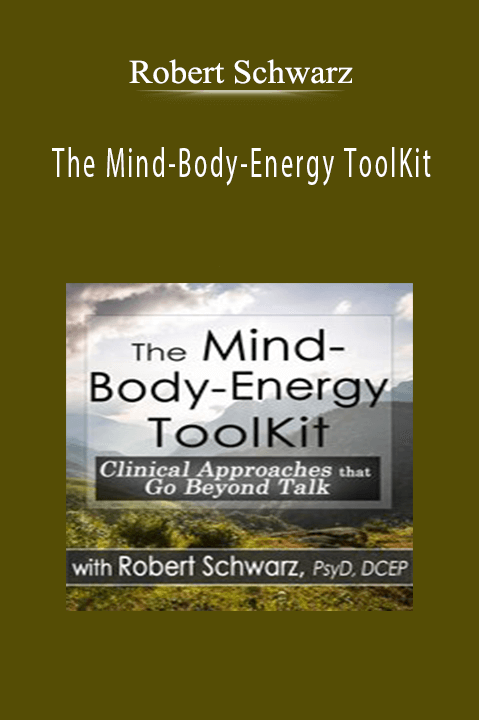 The Mind-Body-Energy ToolKit Clinical Approaches that Go Beyond Talk - Robert Schwarz.