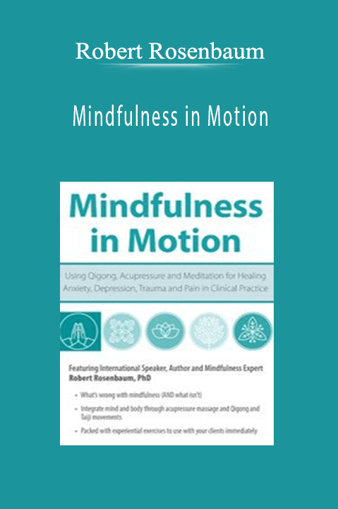 Mindfulness in Motion: Using Qigong, Acupressure and Meditation for Healing Anxiety, Depression, Trauma and Pain in Clinical Practice - Robert Rosenbaum