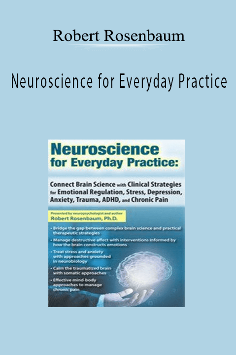 Neuroscience for Everyday Practice: Connect Brain Science with Clinical Strategies for Emotional Regulation, Stress, Depression, Anxiety, Trauma, ADHD, and Chronic Pain - Robert Rosenbaum