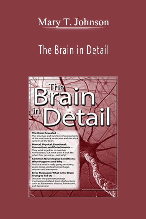 The Brain in Detail - Mary T. Johnson