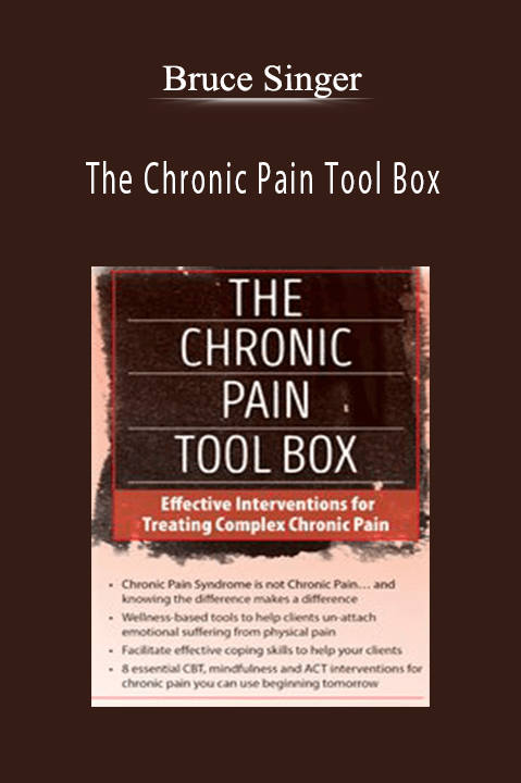 The Chronic Pain Tool Box Effective Interventions for Treating Complex Chronic Pain - Bruce Singer