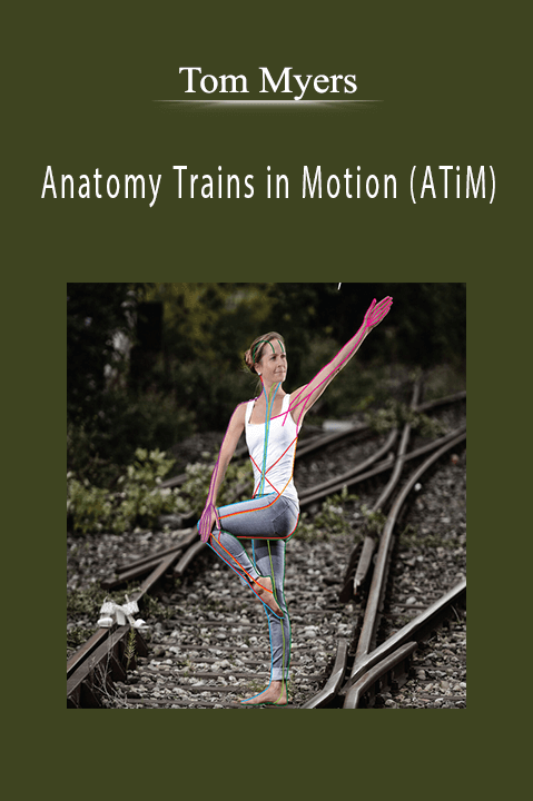 Tom Myers - Anatomy Trains in Motion (ATiM)