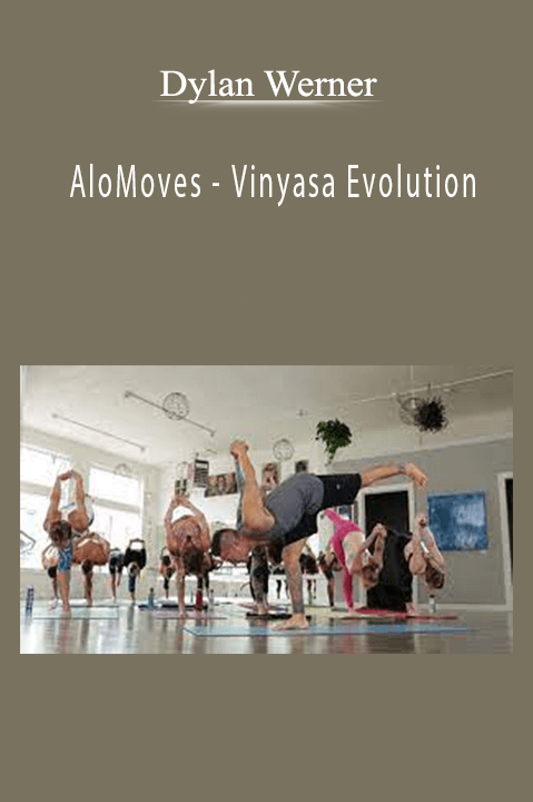 Dylan Werner - AloMoves - Vinyasa Evolution